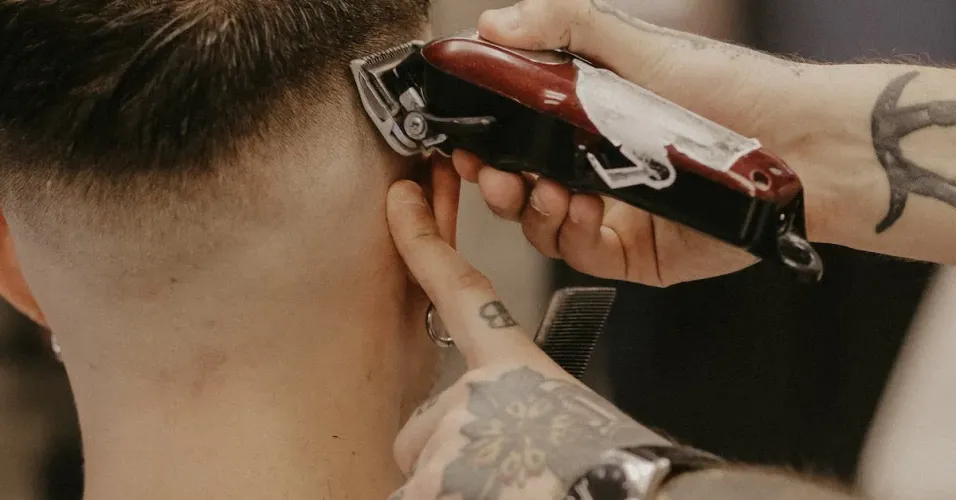How to Maintain Your WAHL Professional Animal 10 Medium Competition Series Detachable Blade