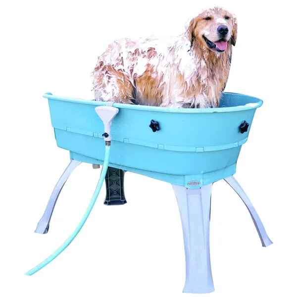 Booster Bath Elevated Pet Bathing, Teal, Large (Pack of 1)