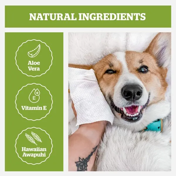 Pogi's Dog Grooming Wipes - 100 Dog Wipes for Cleaning and Deodorizing - Plant-Based, Hypoallergenic Pet Wipes for Dogs, Puppy Wipes - Quick Bath Dog Wipes for Paws, Butt, & Body - Fragrance Free