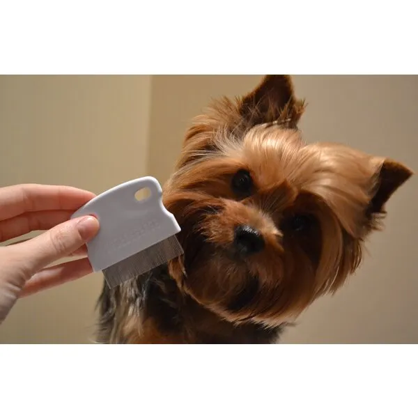 Tear Stain Remover - Fine Tooth Metal Comb to Clean Dogs Eye Boogers - Steel Pet Cleaner and Grooming Accessories - Care for Small Dog Breeds like Shih Tzu, Poodle, Yorkie, Goldendoodle and More