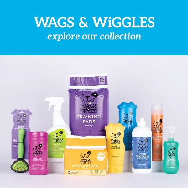 Wags & Wiggles Freshen Deodorizing Dog Shampoo in Very Berry Scent | Dog Grooming Shampoo For Smelly Dogs for Odor Control | Shampoo for Dogs, 16 Ounces