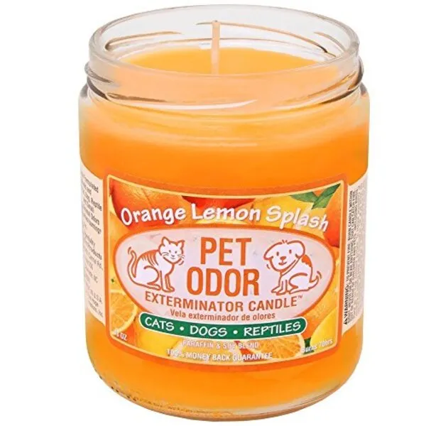 0 Pet Odor Exterminator Candle Orange Lemon Splash