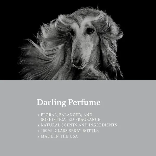 iGroom Pet Perfume Darling, Luxury Pet Beauty Care, Floral Scent, Long Lasting, Made in USA, 100ml