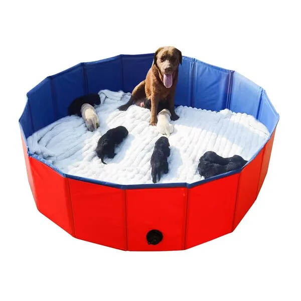 Artilife Whelping Pen for Dogs,Whelping Box for Dogs and Puppies,Dog Birth Supplies,Portable Whelping Pool Whelping Box,Foldable Dog Bath Pool(47inch Dia.x12inch H(120x30cm))