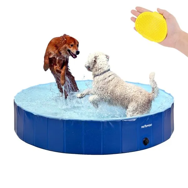 PATTEPOINT Foldable Dog Swimming Pool for Large Dogs, Hard Plastic Pet Collapsible Bathing Tub for Medium Dogs Baby Kids, Portable Kiddie Pool with Brush for Indoor Outdoor（L: 47“*12