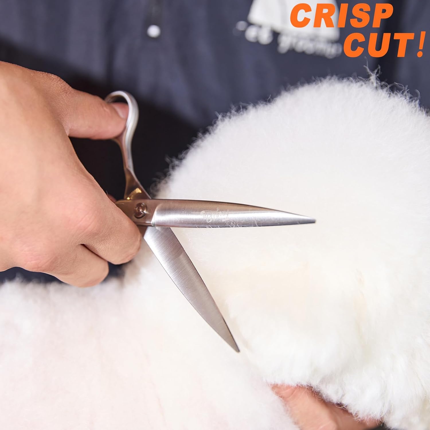 61AHLnNtaoL._AC_SL1500_