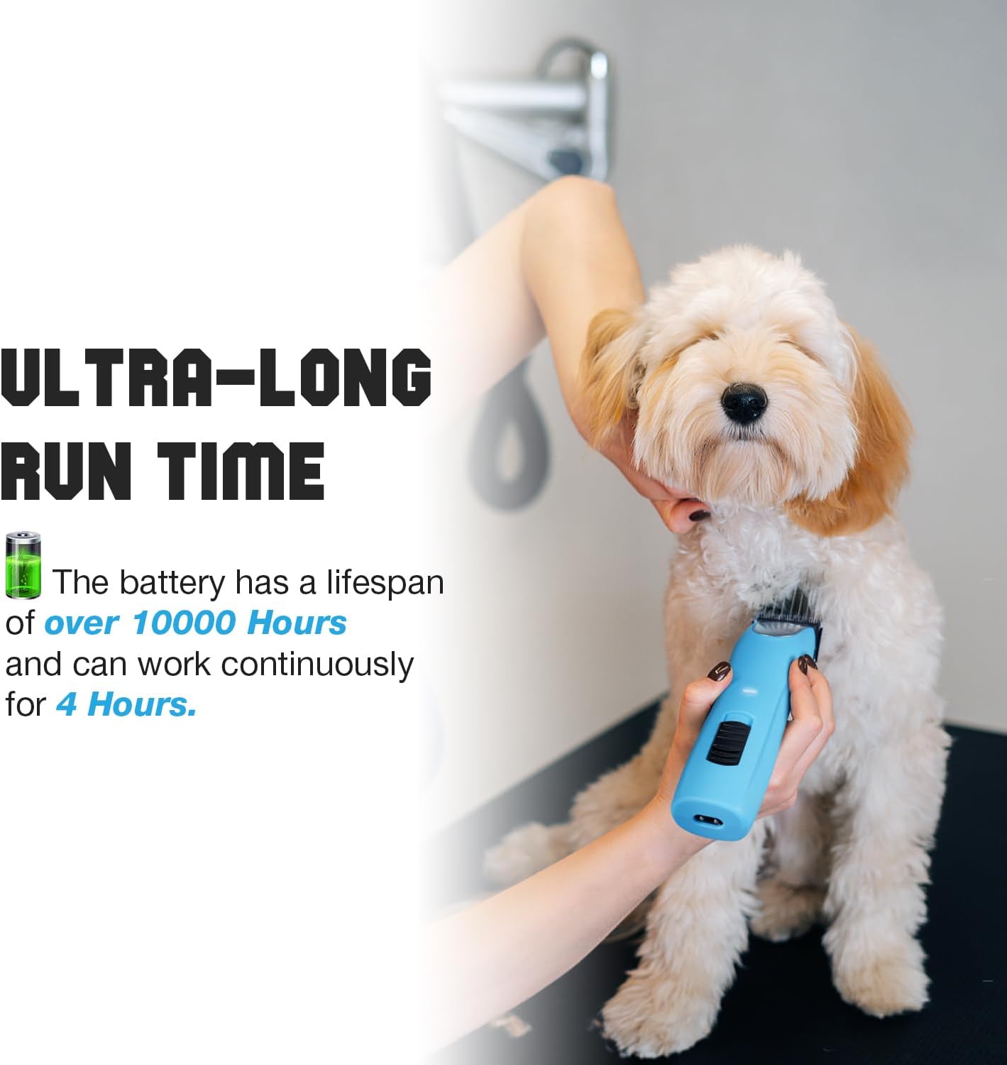 61ML-RaeGkL._AC_SL1500_