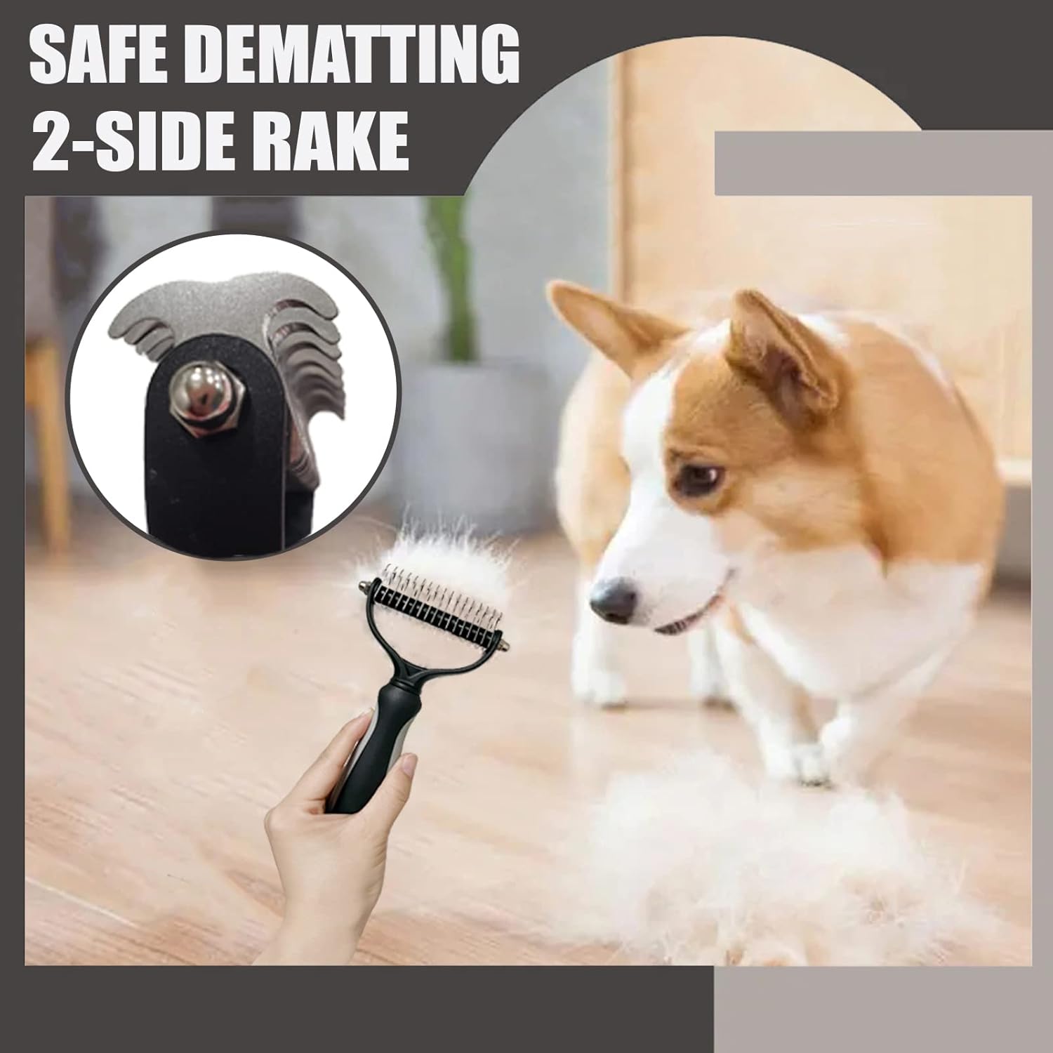 61aDpWpEAnL._AC_SL1500_