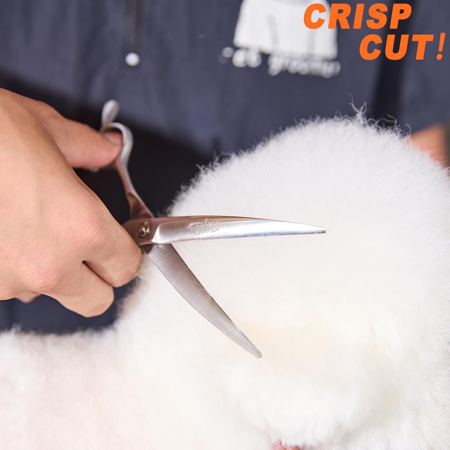 61ggSDJJLtL._AC_SL1500_