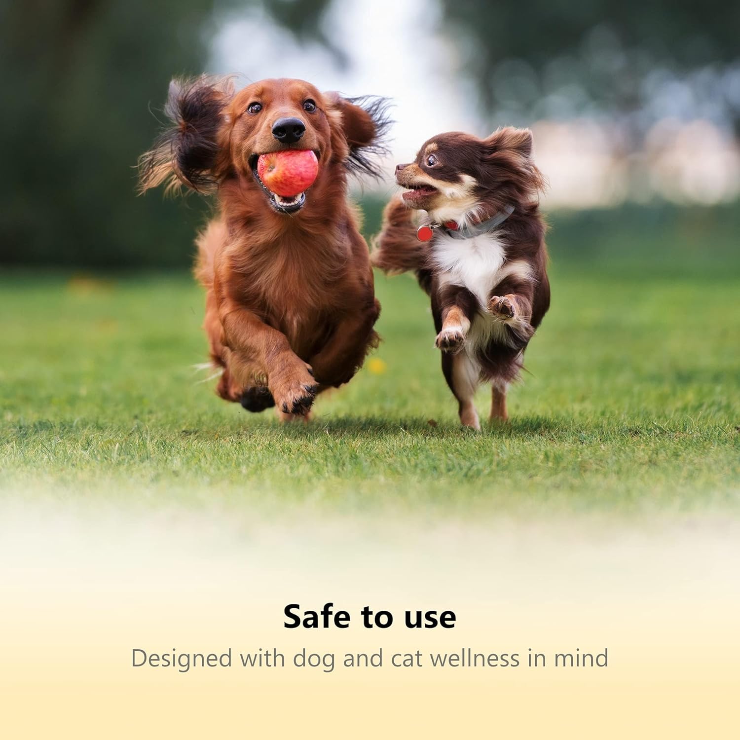 71EMa2SN1IL._AC_SL1500_