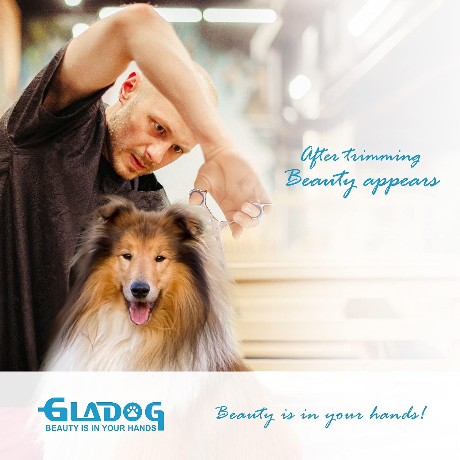 71HofoBIHpL._AC_SL1500_