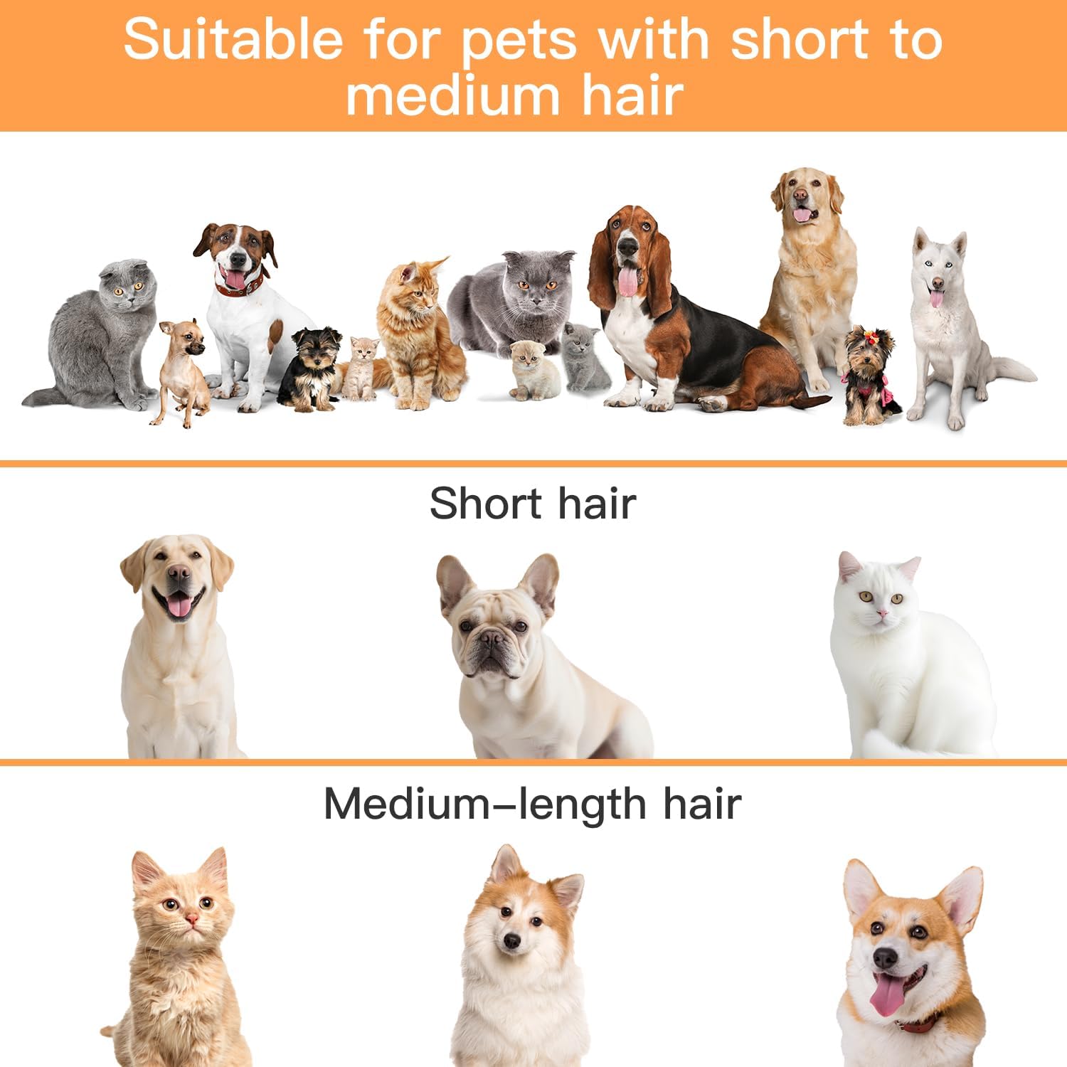 71LXHcHlDdL._AC_SL1500_