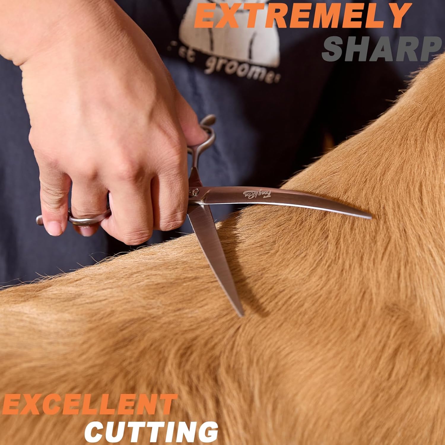 71Z5RxDSNiL._AC_SL1500_