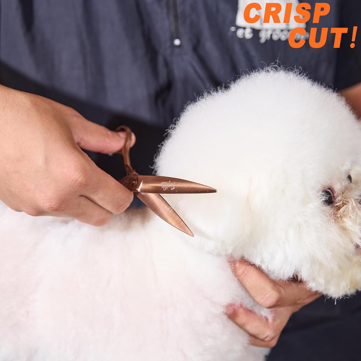 71g0sjTEpHL._AC_SL1500_