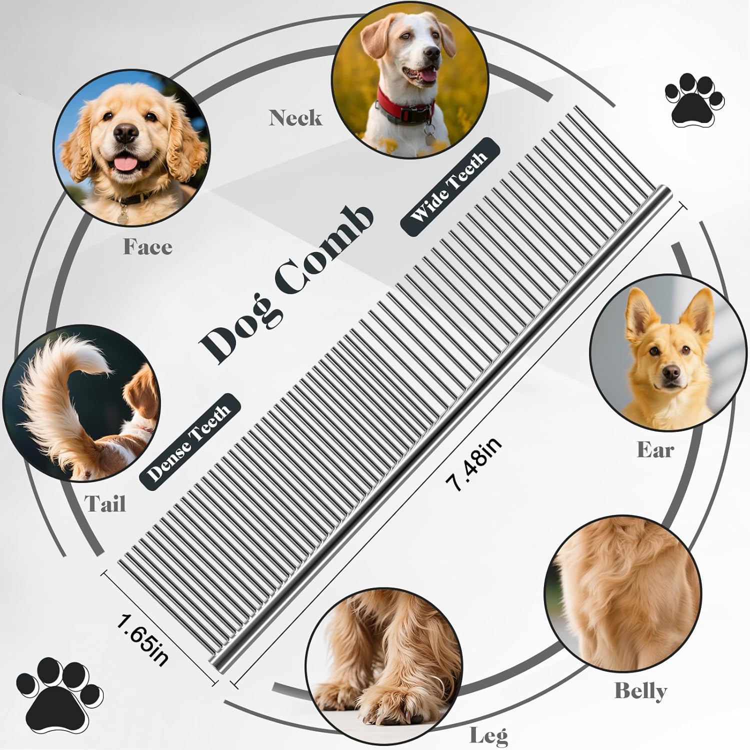 81CmfGv4DlL._AC_SL1500_