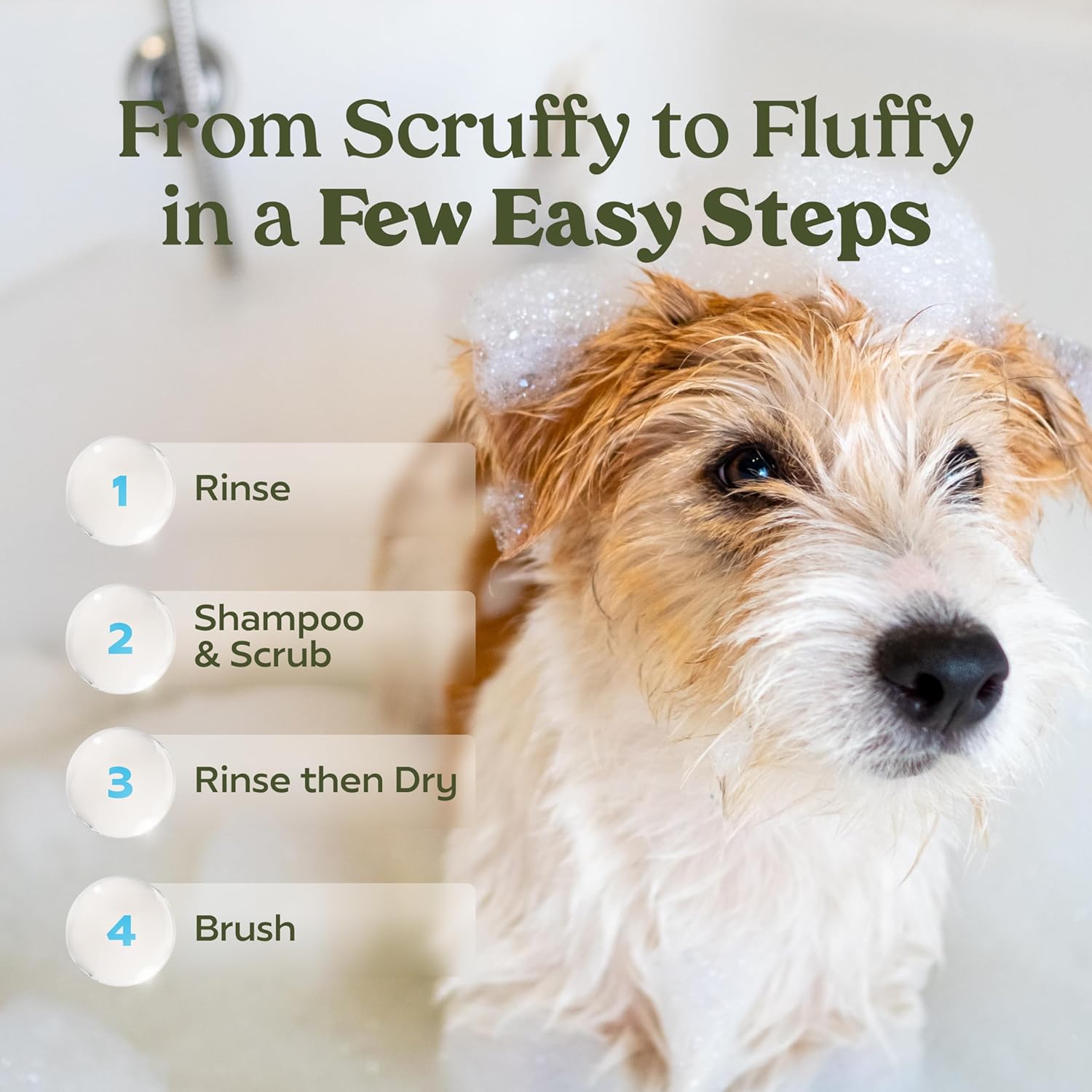 81D4orSWBIL._AC_SL1500_