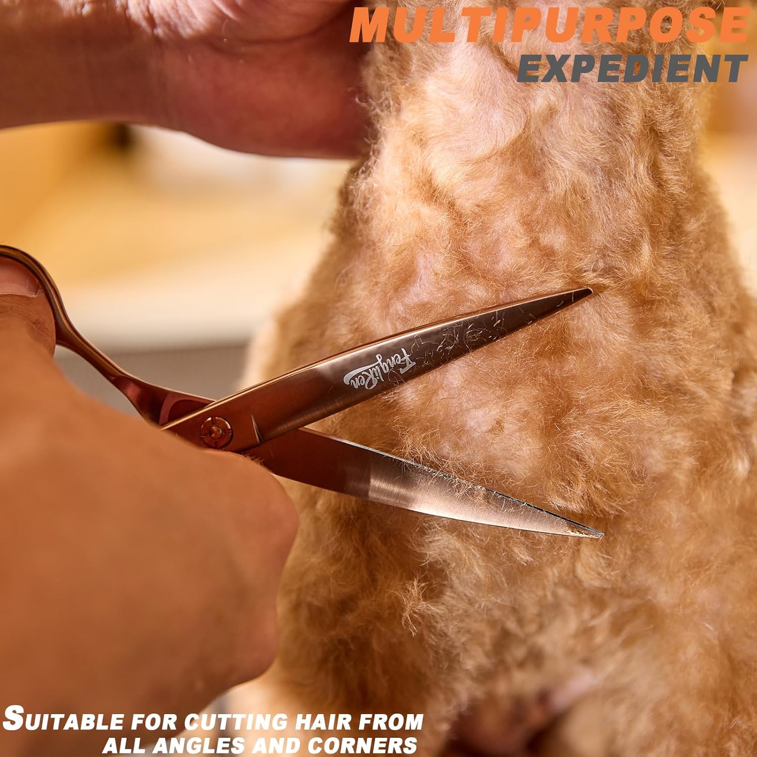 81mrhj89IjL._AC_SL1500_